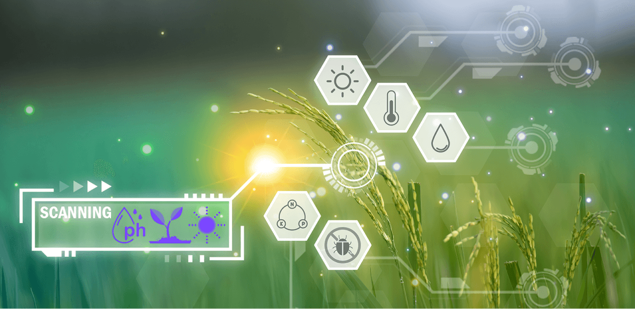 Alchetech Intelligence - Bridging Innovation and Sustainability with Compassion - Modernizing Traditional Agriculture with Artificial Intelligence